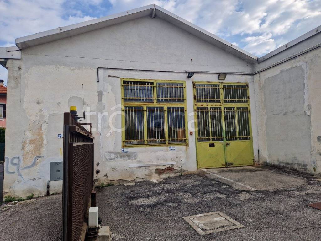 immagine annuncio 13 di 14