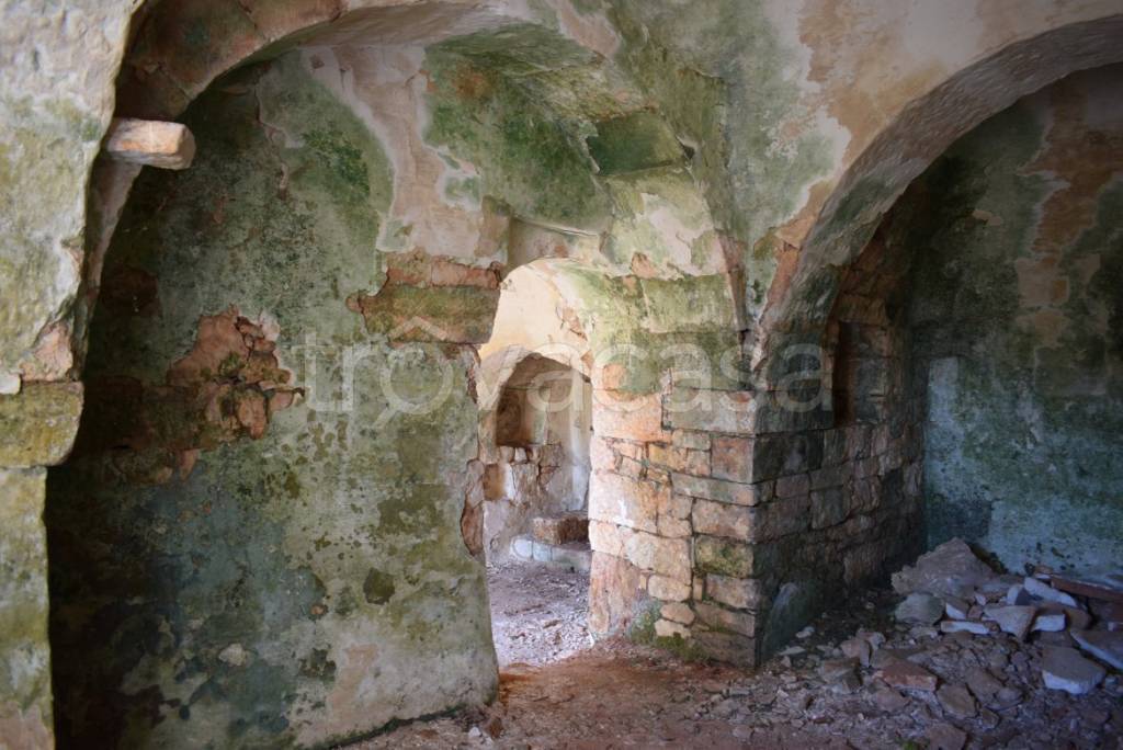 immagine annuncio 7 di 14