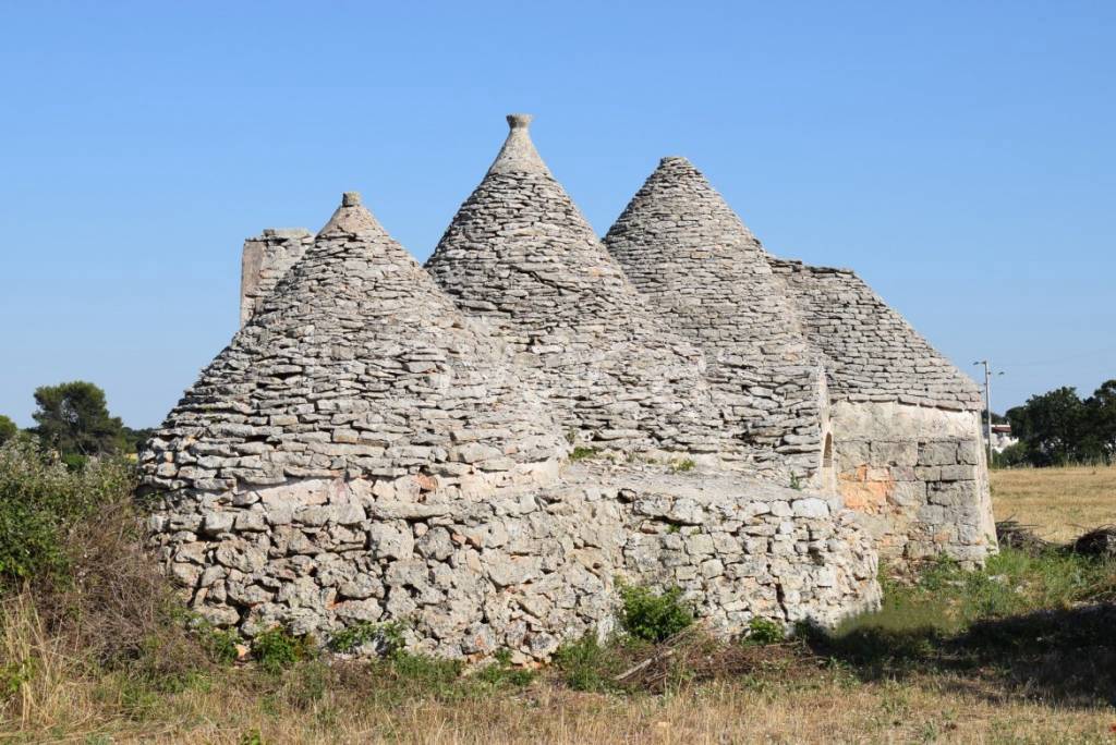 immagine annuncio 11 di 14