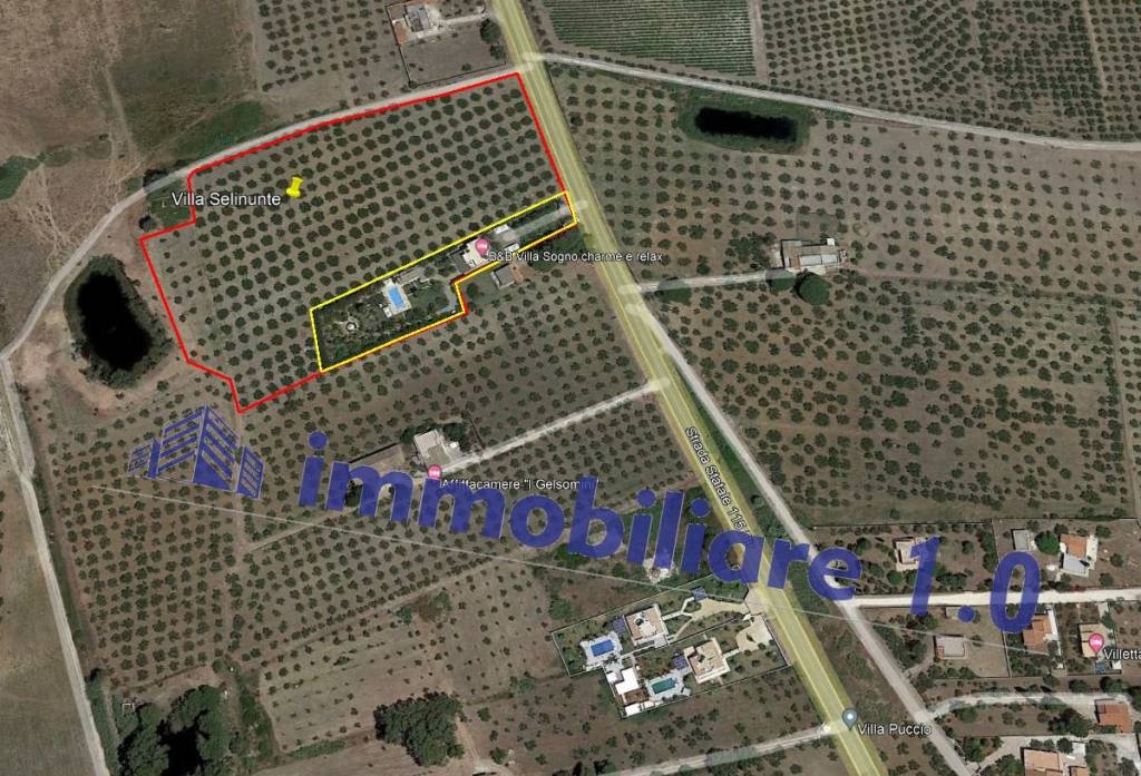 immagine annuncio 8 di 15