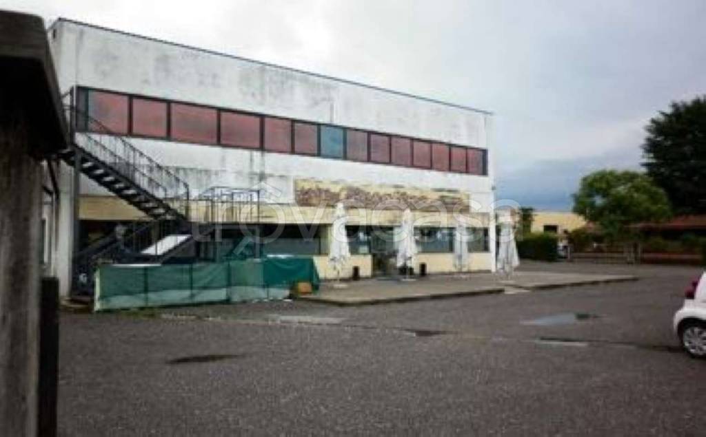 immagine annuncio 2 di 9