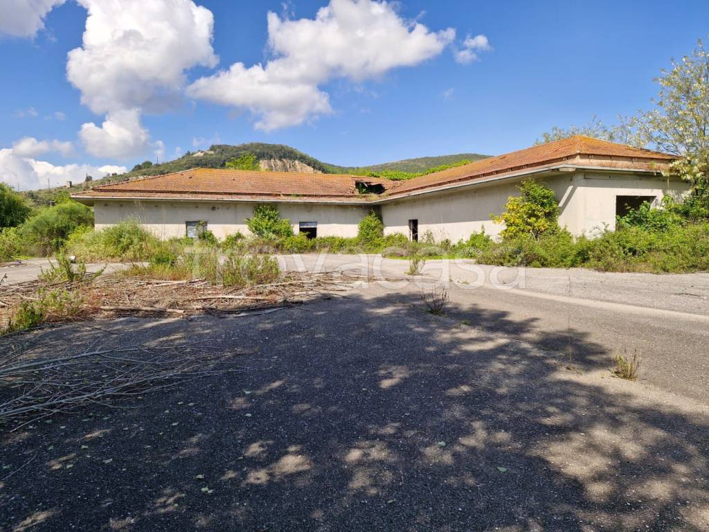 immagine annuncio 1 di 6