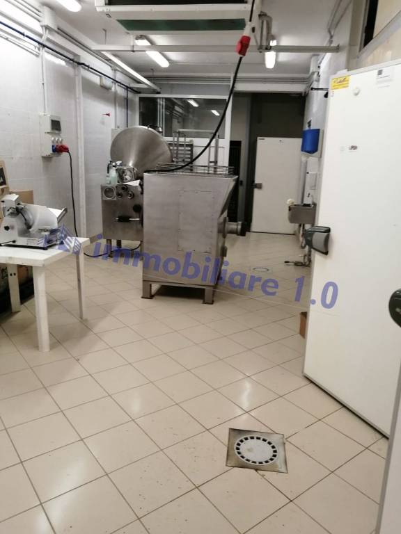 immagine annuncio 6 di 14