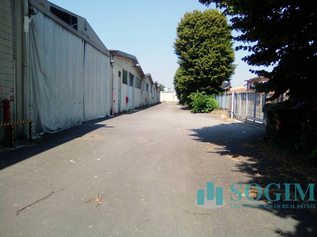 immagine annuncio 5 di 15