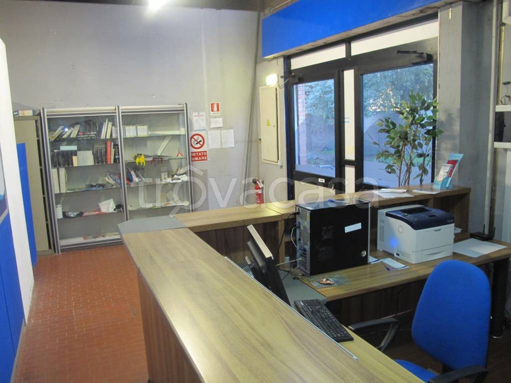 immagine annuncio 9 di 15