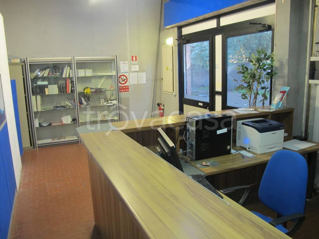 immagine annuncio 12 di 15