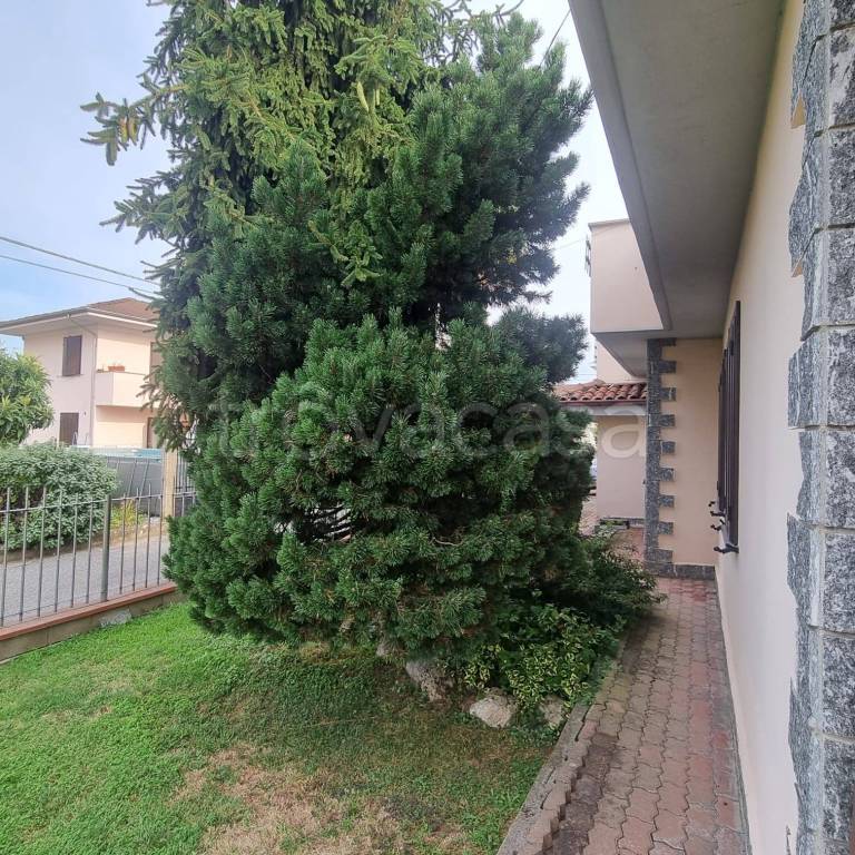 immagine annuncio 5 di 6