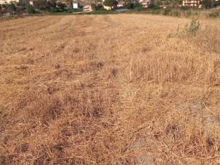 Terreno agricolo in vendita a crotone via madre teresa di calcutta, 8