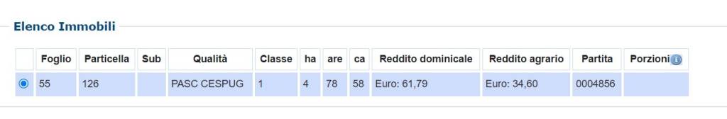 immagine annuncio 6 di 10