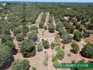 Villa in vendita a ostuni contrada parco monsignore