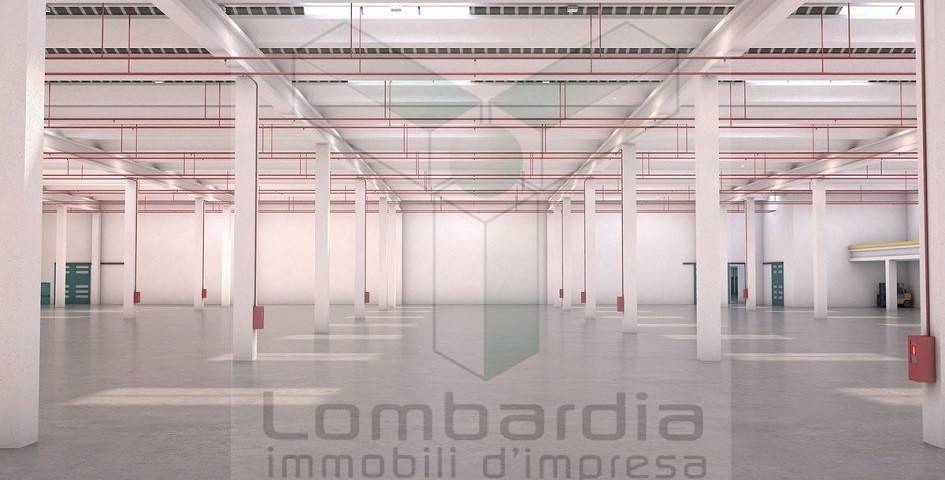 immagine annuncio 2 di 10
