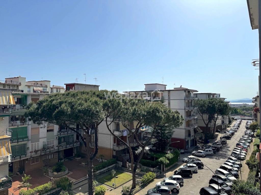 immagine annuncio 6 di 12