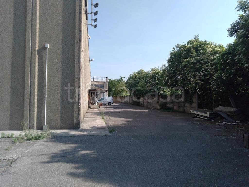 immagine annuncio 3 di 10