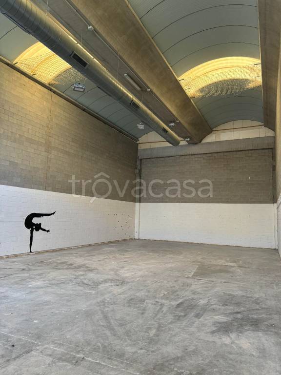 immagine annuncio 4 di 8
