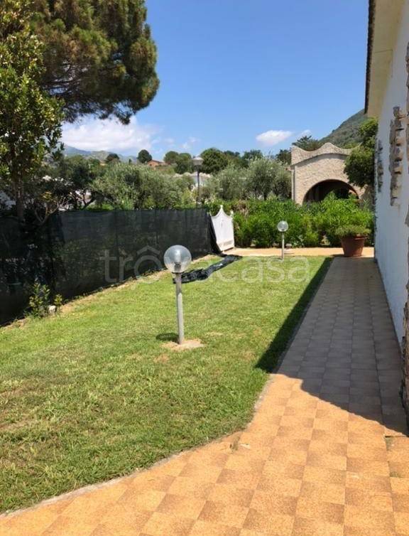 immagine annuncio 4 di 13