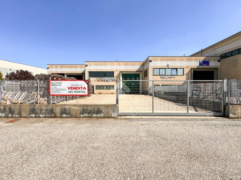 immagine annuncio 5 di 15