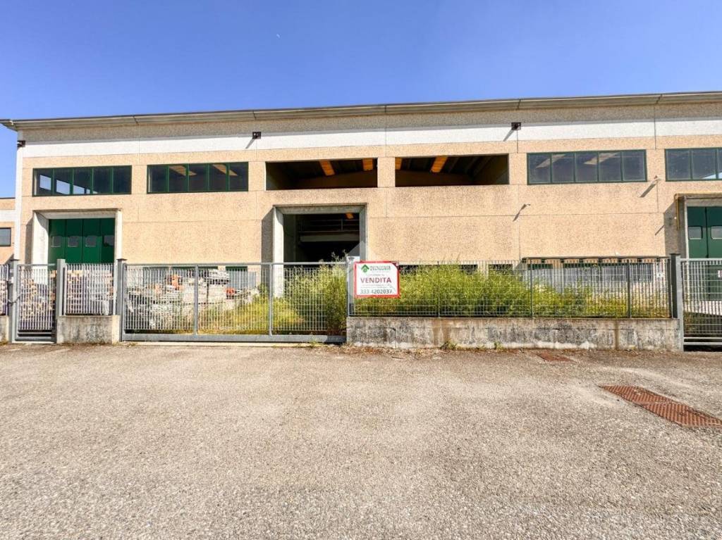 immagine annuncio 10 di 15