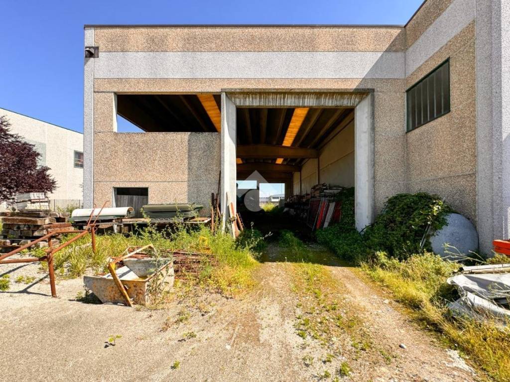 immagine annuncio 11 di 15