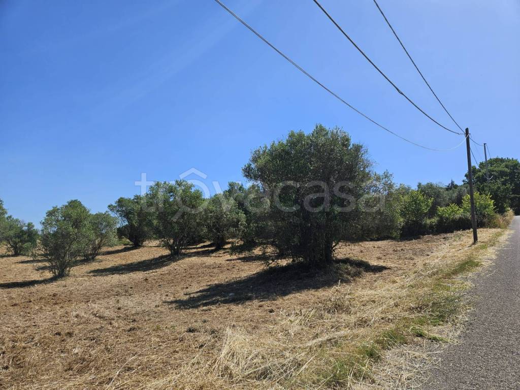 immagine annuncio 2 di 12