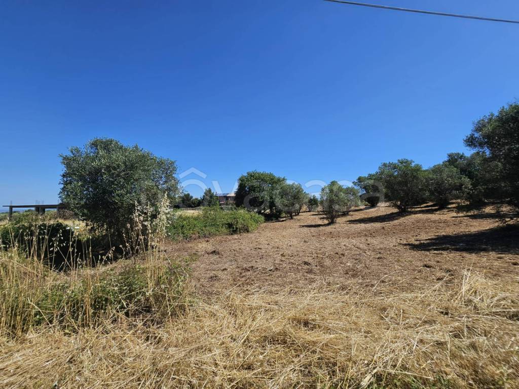 immagine annuncio 4 di 12