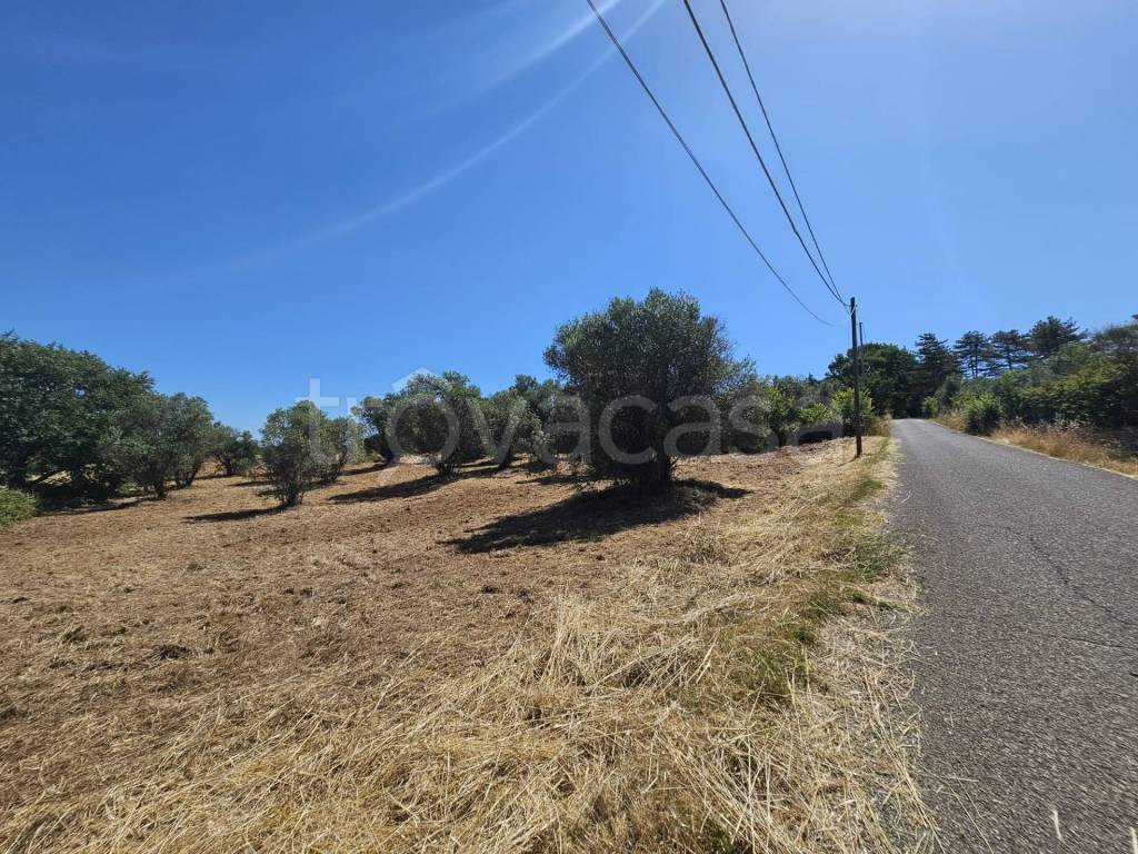 immagine annuncio 7 di 12