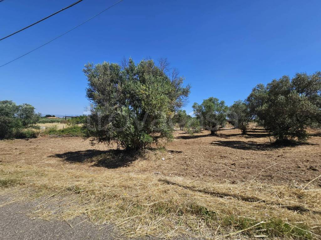 immagine annuncio 8 di 12