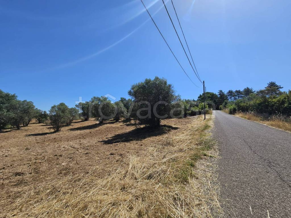 immagine annuncio 9 di 12