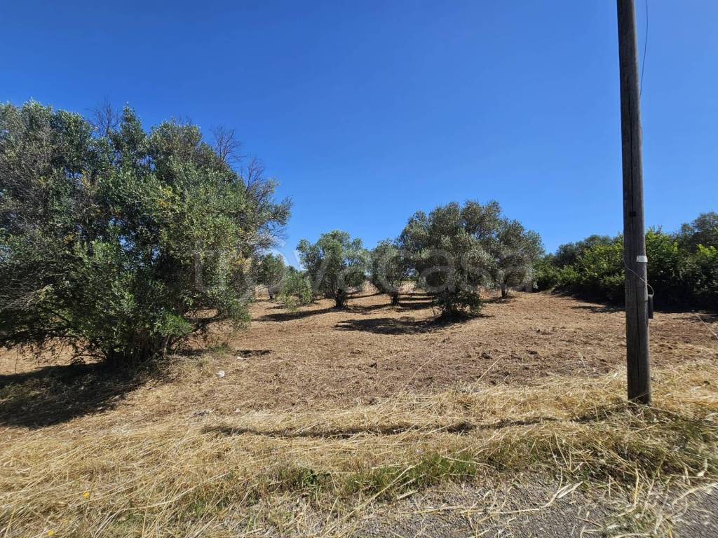 immagine annuncio 10 di 12