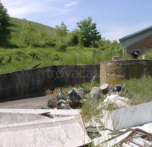 immagine annuncio 6 di 7