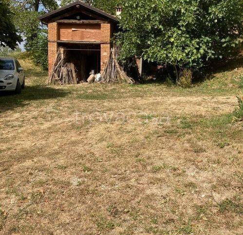 immagine annuncio 12 di 14