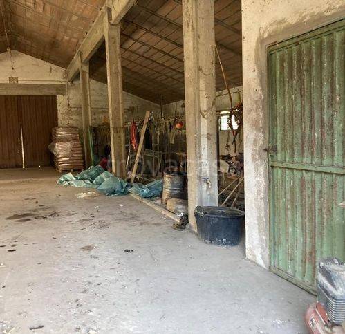 immagine annuncio 7 di 11