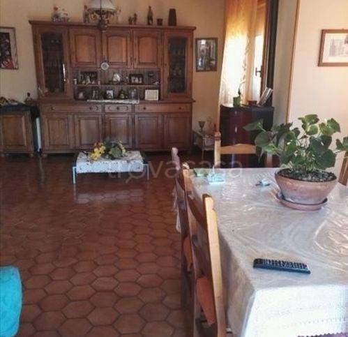 immagine annuncio 2 di 7