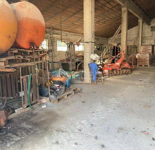 immagine annuncio 8 di 11