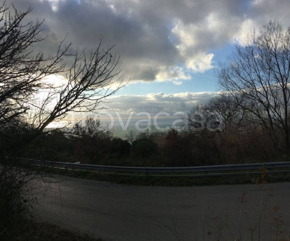 immagine annuncio 5 di 6