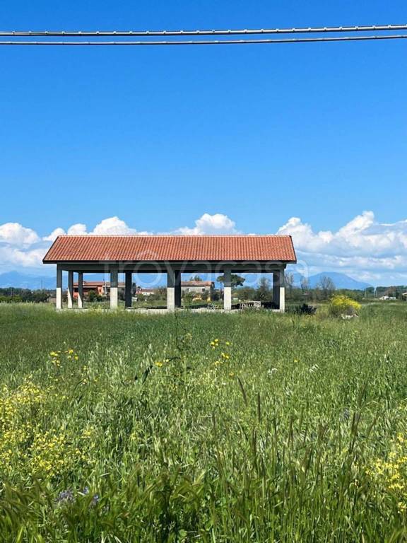 immagine annuncio 2 di 7