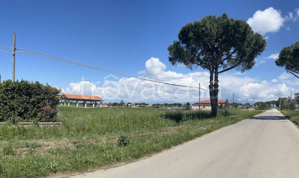 immagine annuncio 4 di 7
