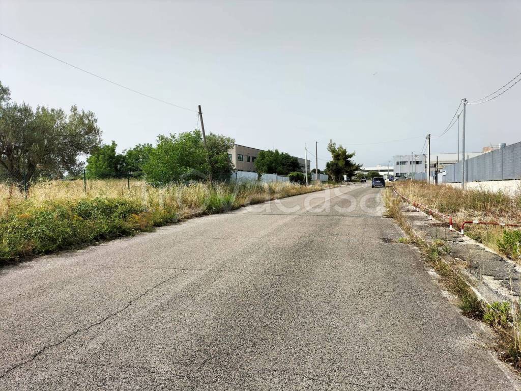 immagine annuncio 1 di 4