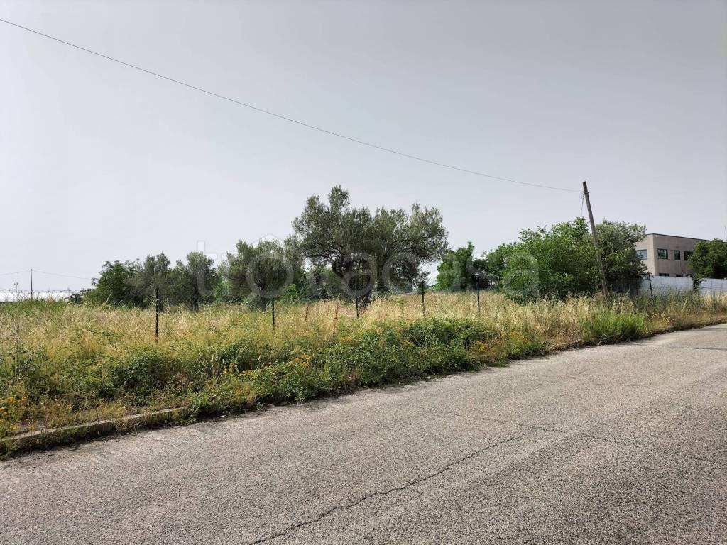 immagine annuncio 2 di 4