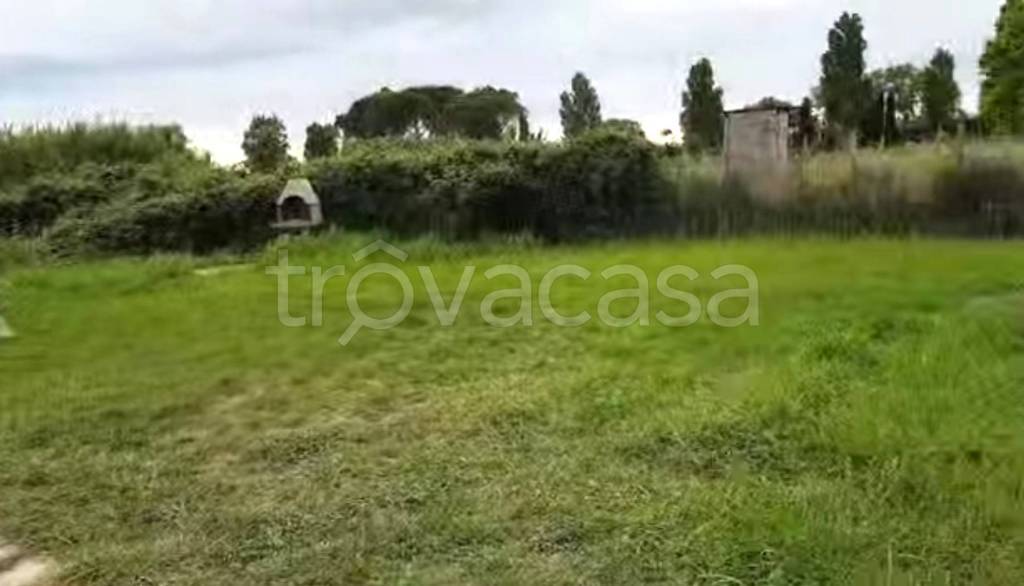 immagine annuncio 2 di 8