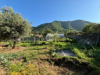 Terreno agricolo in vendita a gragnano via traversa di nola