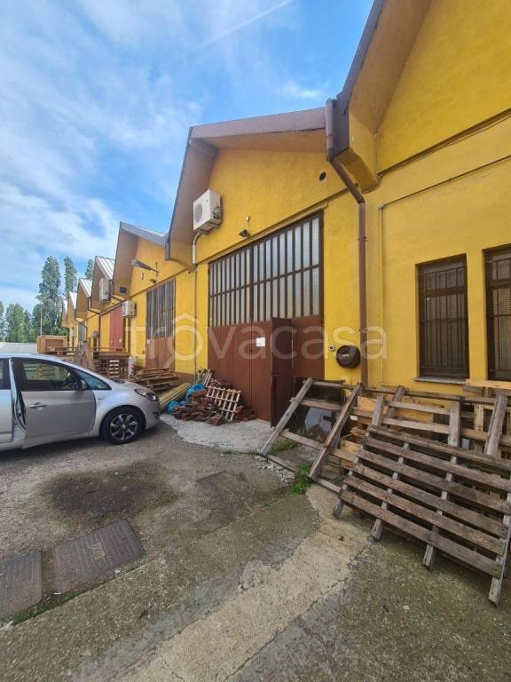 immagine annuncio 1 di 8