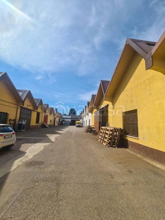 immagine annuncio 7 di 8