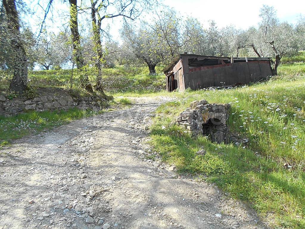 immagine annuncio 6 di 12