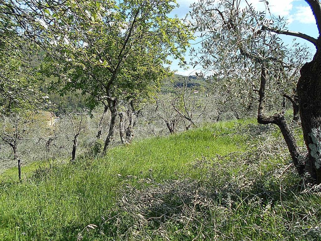 immagine annuncio 7 di 12