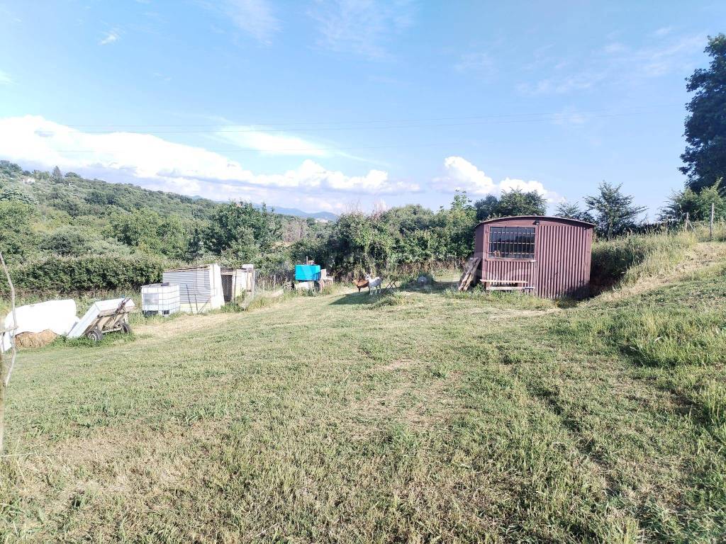 immagine annuncio 2 di 12