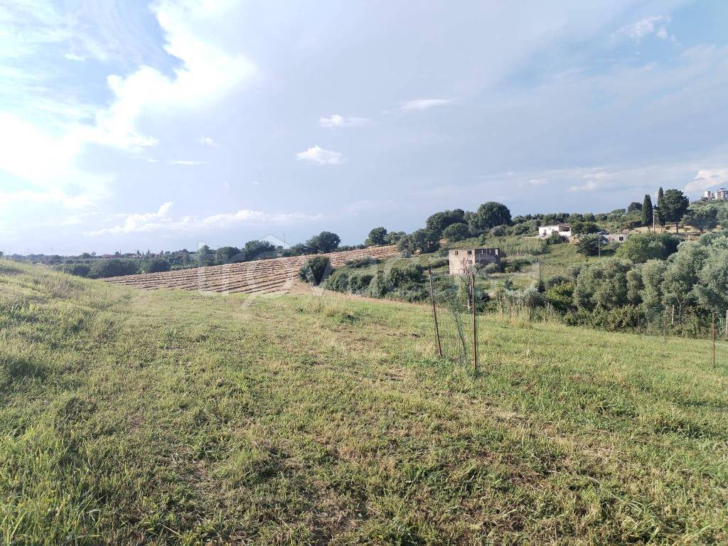 immagine annuncio 4 di 12