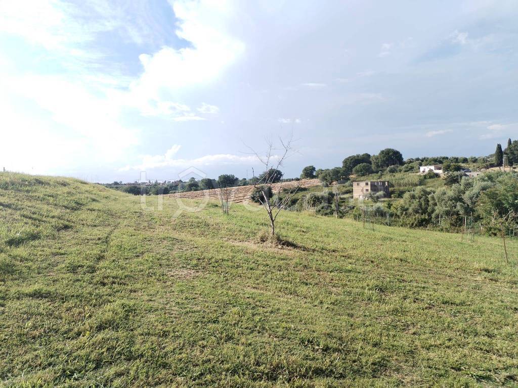 immagine annuncio 6 di 12