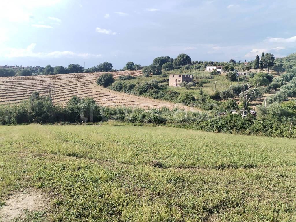 immagine annuncio 9 di 12