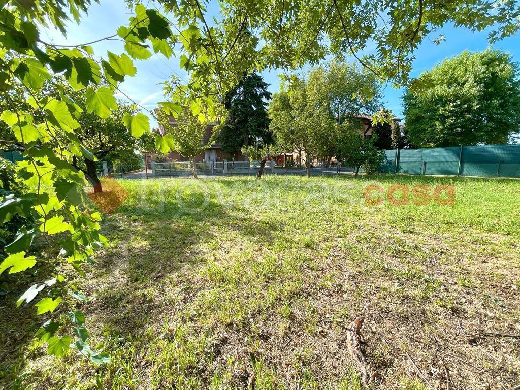 immagine annuncio 11 di 12