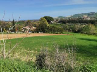 Terreno agricolo in vendita a sant'elpidio a mare strada molino 1